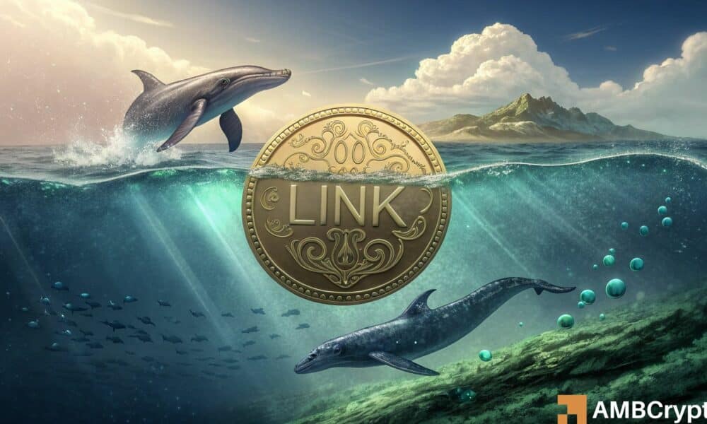 Will LINK’s $25 resistance break after THIS whale accumulation?