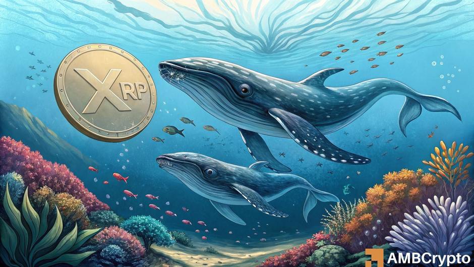 XRP surges to 7-year high above $3 as whales accumulate $3.8B – What’s next?