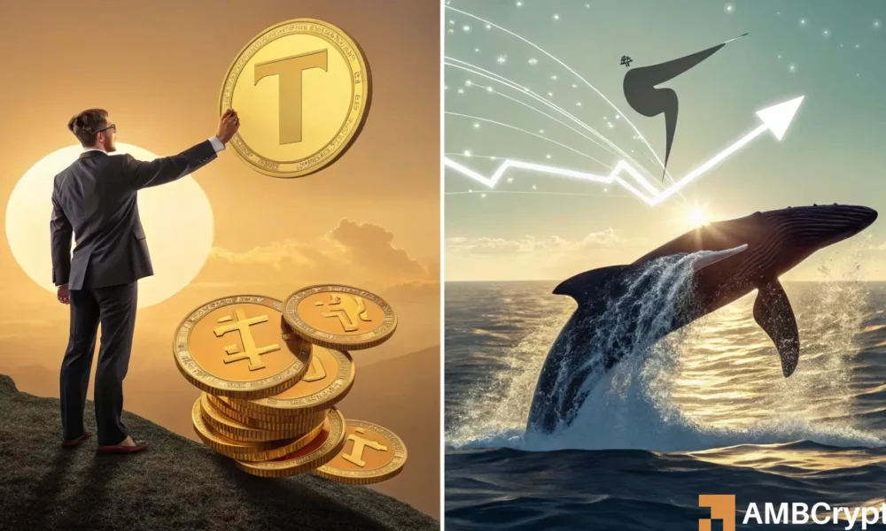 Toncoin’s price nears key support – A buying opportunity or trap?